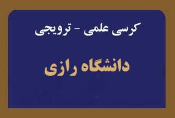 بررسی پیامد‌های فقهی تغییر جنسیت زوجین بر عناوین نسبی، سببی و ارث