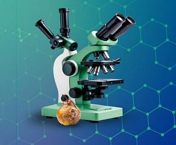 تولید آئروژل­‌های هوشمند زیست‌­تخریب پذیر برای تشخیص فساد مواد غذایی