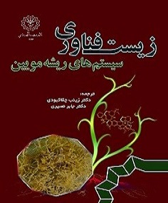 زیست فناوری سیستم‌های ریشه مویین