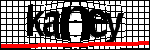 متن برای شناسایی